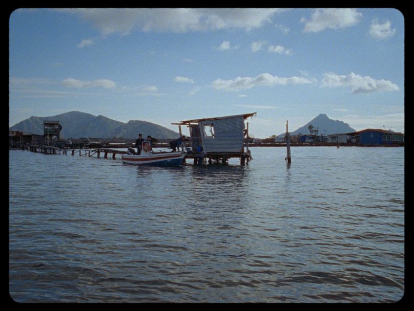 «Last Tropics»