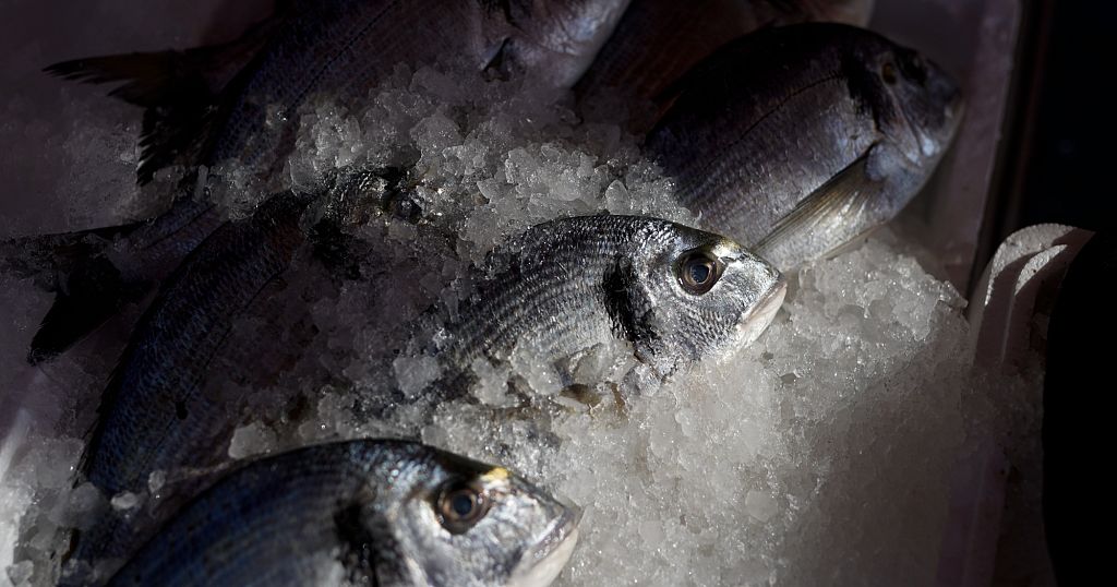 World Trade Organization fisheries agreement comes into force, curbing harmful subsidies