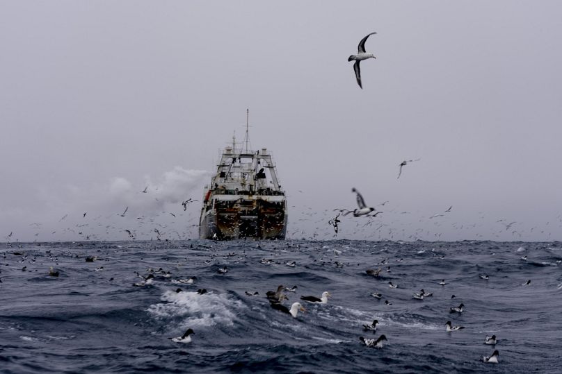 FILE - China's Long Fa fishing vessel is followed by flocks of seabirds in the Southern Ocean off the coast of the South Orkney Islands, March 10, 2023. 