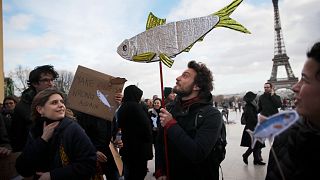 Maroc : pénurie de sardines sur les marchés français