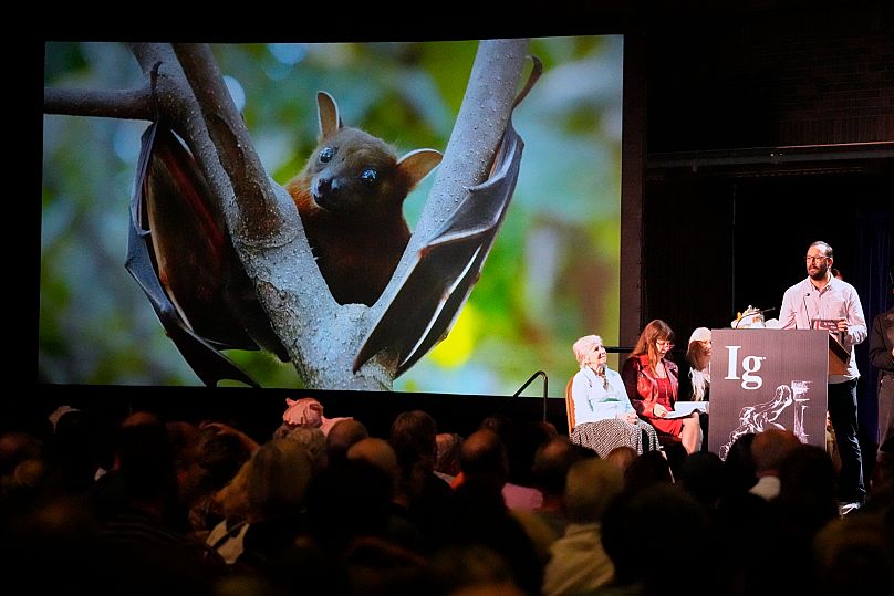 Francisco Sanchez accepts the Ig Nobel for studying whether ingesting alcohol can impair bats' ability to fly