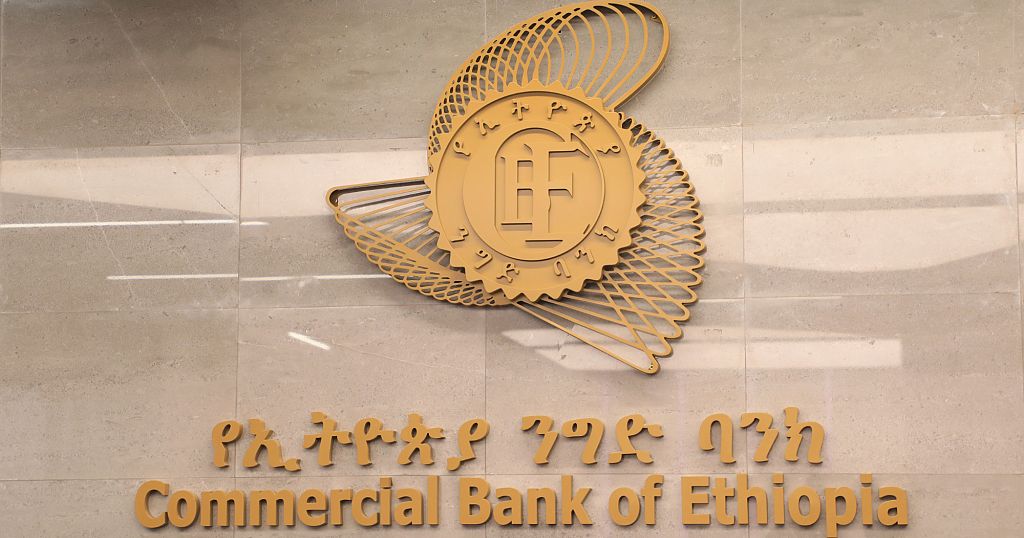 Ethiopia faces unsustainable external debt, World Bank and IMF warn Ethiopia faces unsustainable external debt, World Bank and IMF warn