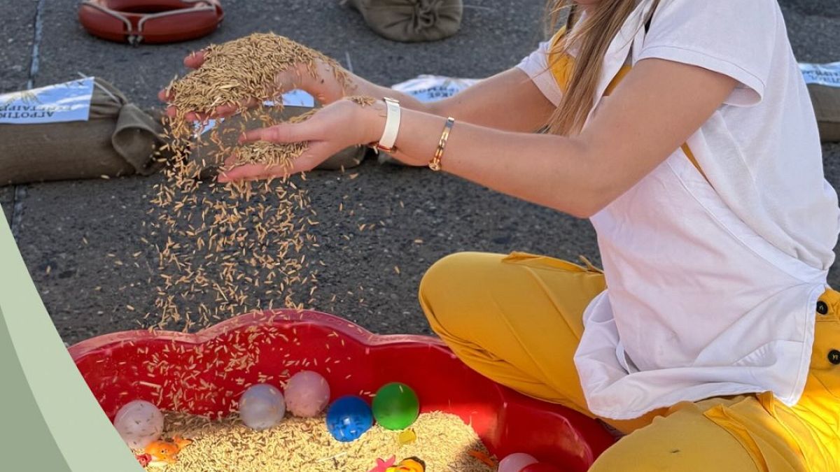 Festival du riz de l'UE : les producteurs européens peinent à faire face à la concurrence asiatique