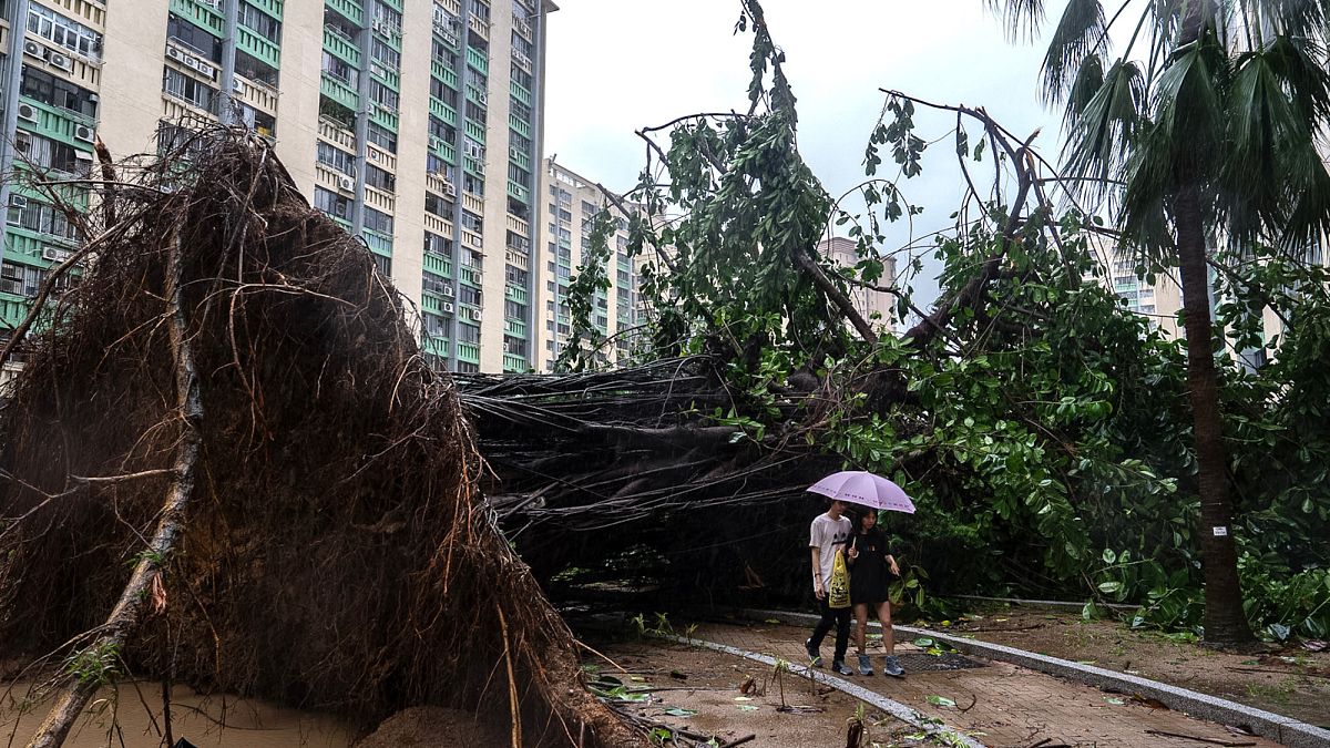 Après le passage du typhon Ragasa, l'heure est au nettoyage à Taïwan, en Chine et à Hong Kong
