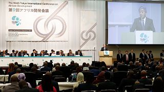 Japan cuts Africa exchange initiative amid increased immigration fears