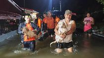 Des milliers de personnes évacuées alors que le typhon Bualoi déclenche des alertes aux inondations et glissements de terrain