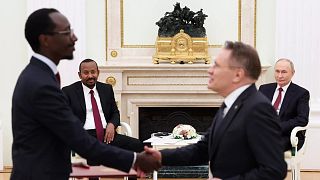 Accord russo-éthiopien pour une centrale nucléaire en Afrique de l'Est