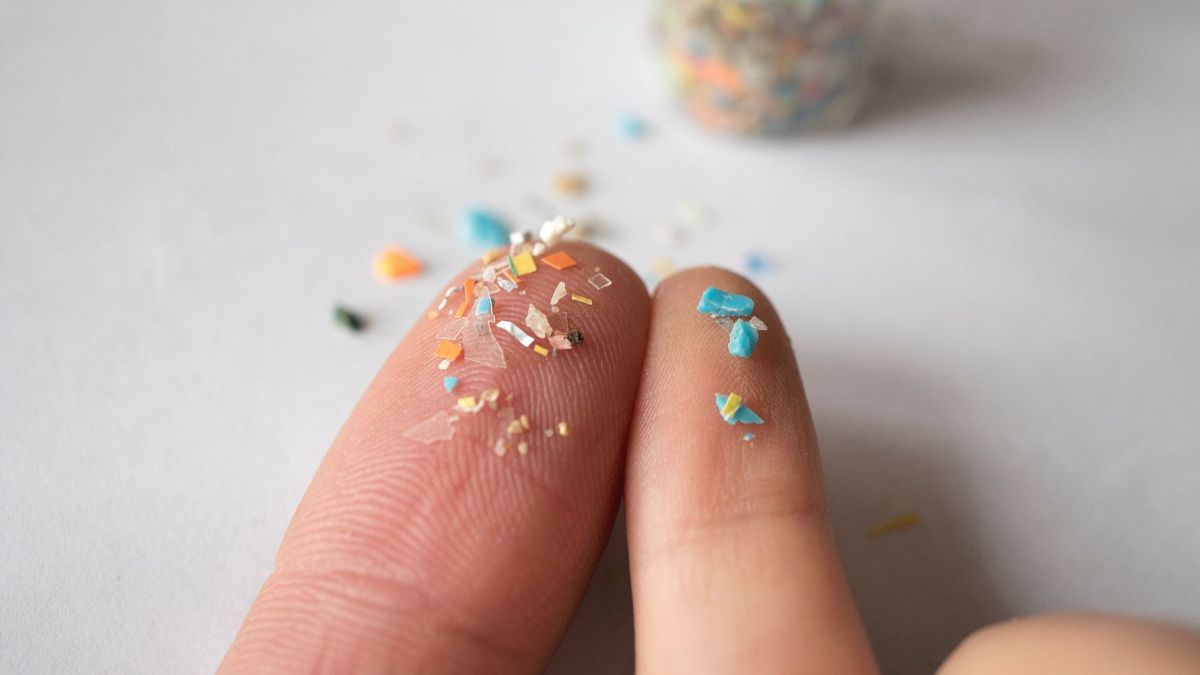 Microplastics can alter the gut microbiome in ways that could raise health risks, study finds