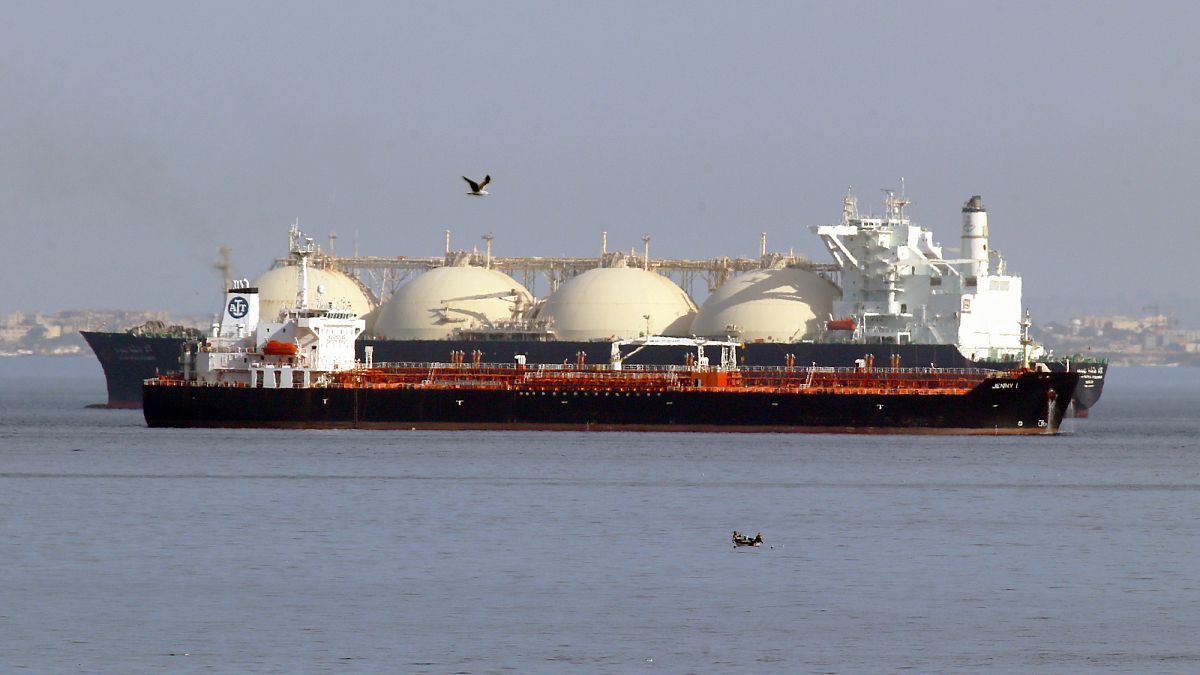 European imports of Russian shipped gas send €8.10bn to Moscow’s coffers – report