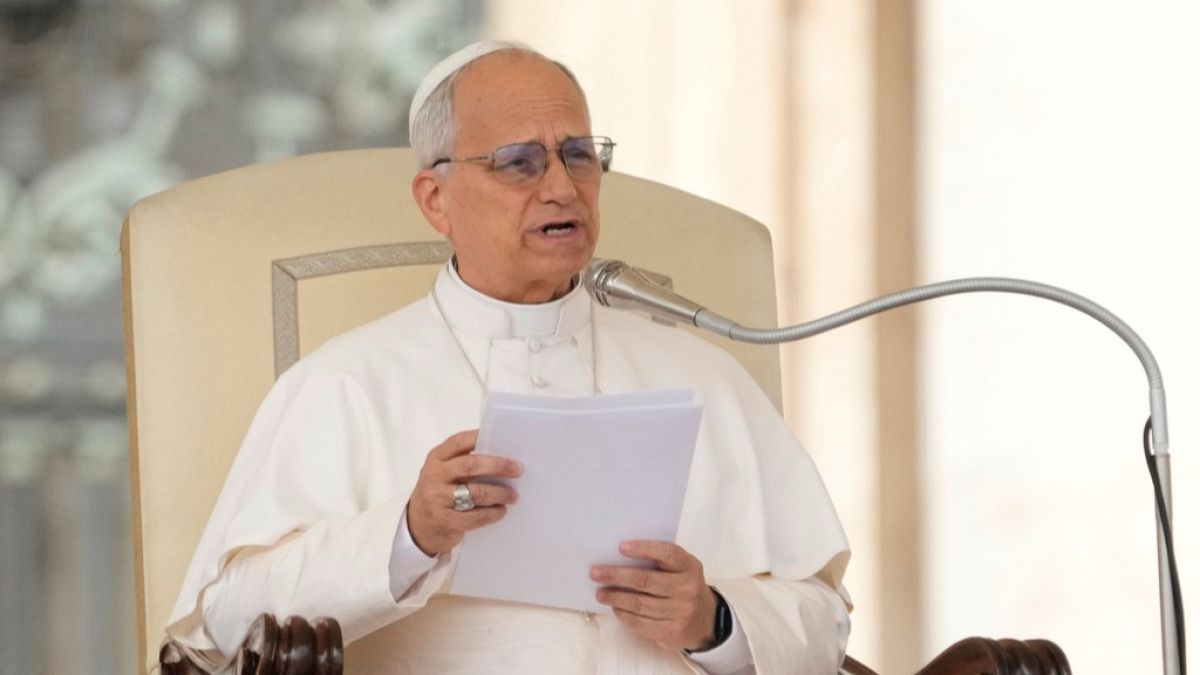 Pope Leo XIV weighs in on abortion debate by questioning what it really means to be 'pro-life'