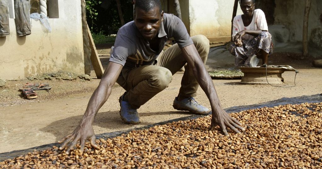 Ivory Coast sets new cocoa price ahead of upcoming elections