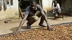 Ivory Coast traces 40% of cocoa, But EU anti-deforestation law delayed
