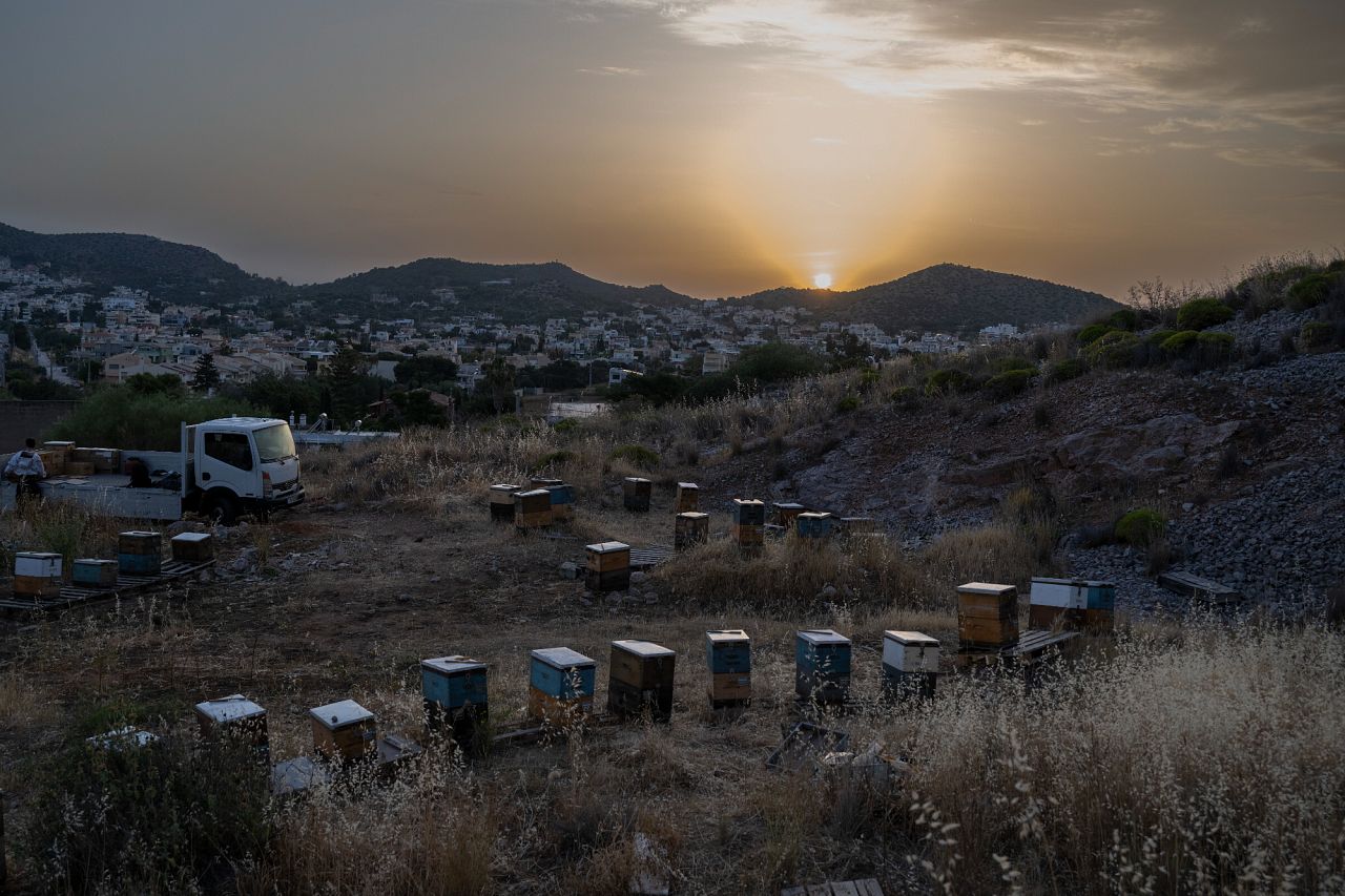 A view of an apiary is pictured as the sun sets, before a late-night beehive transfer to an urban area in the Varkiza suburb of southern Athens, Greece.