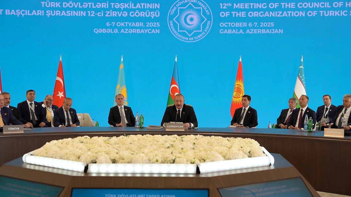 Turkic nations commit to greater global role