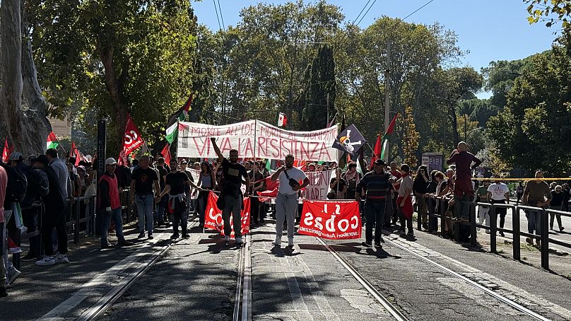 Manifestazione pro-Palestina a Roma
