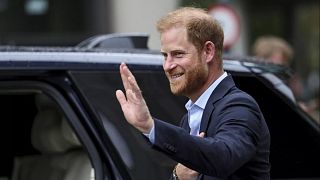 Chad ends ties with Prince Harry’s African parks