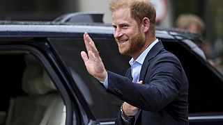 Chad ends ties with Prince Harry’s African parks