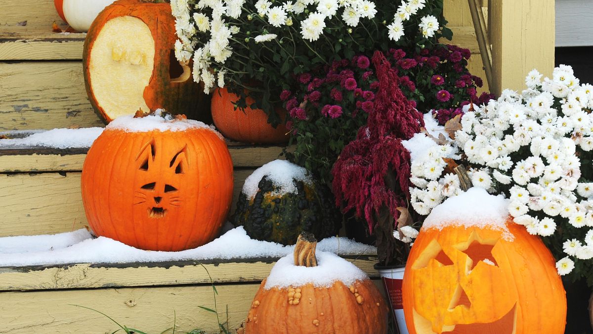 Detroit haunted house keeps tally of visitors who flee in fear