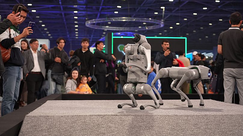 Robot dogs at Digital Bridge exhibition