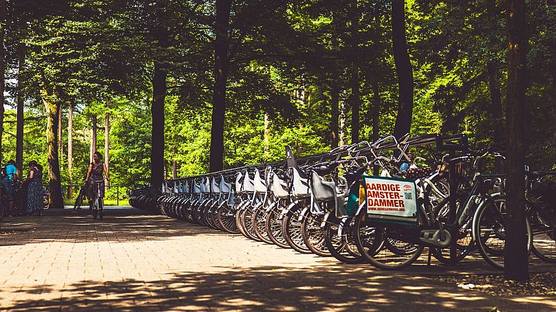 Bikes at Hoge Veluwe National Park