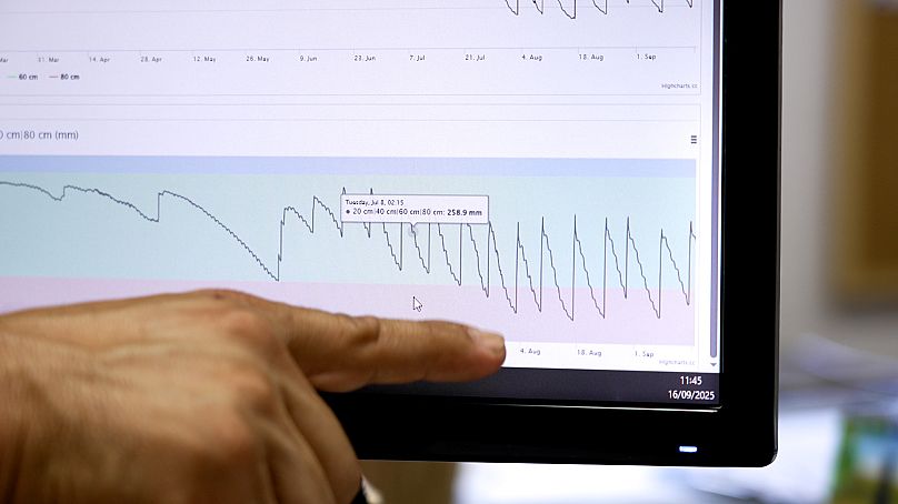 Η γεωργία ακριβείας επιτρέπει την παρακολούθηση της υγρασίας του εδάφους σε πραγματικό χρόνο και την παροχή στα φυτά της σωστής ποσότητας νερού.