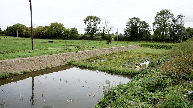 Αυτή η λίμνη υγροτόπου δεσμεύει γεωργικά θρεπτικά συστατικά προτού διαφύγουν στο περιβάλλον.