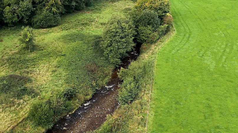 Οι παρόχθιες ζώνες προστασίας μεταξύ ποταμών και καλλιεργημένων αγρών συμβάλλουν στη διαφύλαξη της ποιότητας του νερού