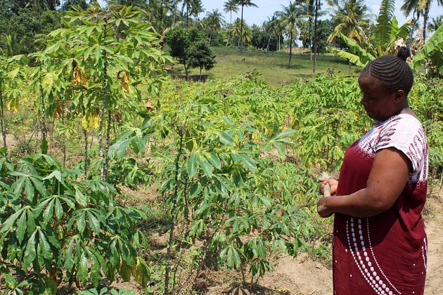 Kenya project looks at impact of climate change on women's mental health
