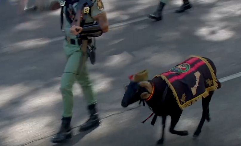 Aquí Baraka, la cabra de la Legión, 12 de octubre 2025