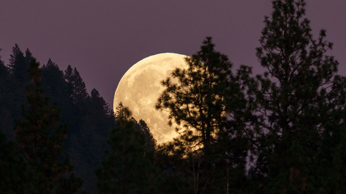 The Moon Economy: Are We Ready to Cash In on Lunar Resources?