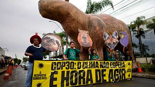 Des centaines de manifestants indigènes réclament la reconnaissance des terres à Brasilia