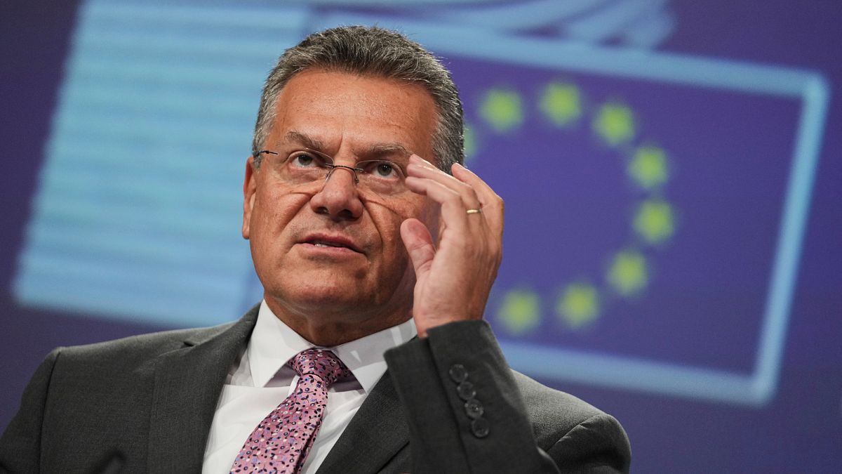 El director de Comercio de la UE, Šefčovič, critica las restricciones a las exportaciones de tierras raras de China