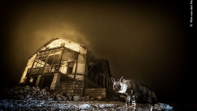 'Visitante de la ciudad fantasma'