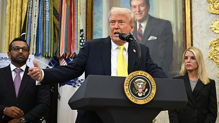 Trump confirma que la CIA está llevando operaciones encubiertas dentro de  Venezuela | Euronews