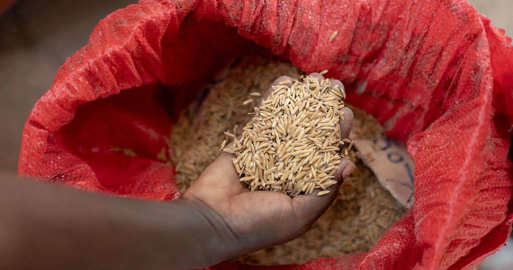 Culinary innovator Fatmata Binta appointed FAO's Goodwill Ambassador for Africa