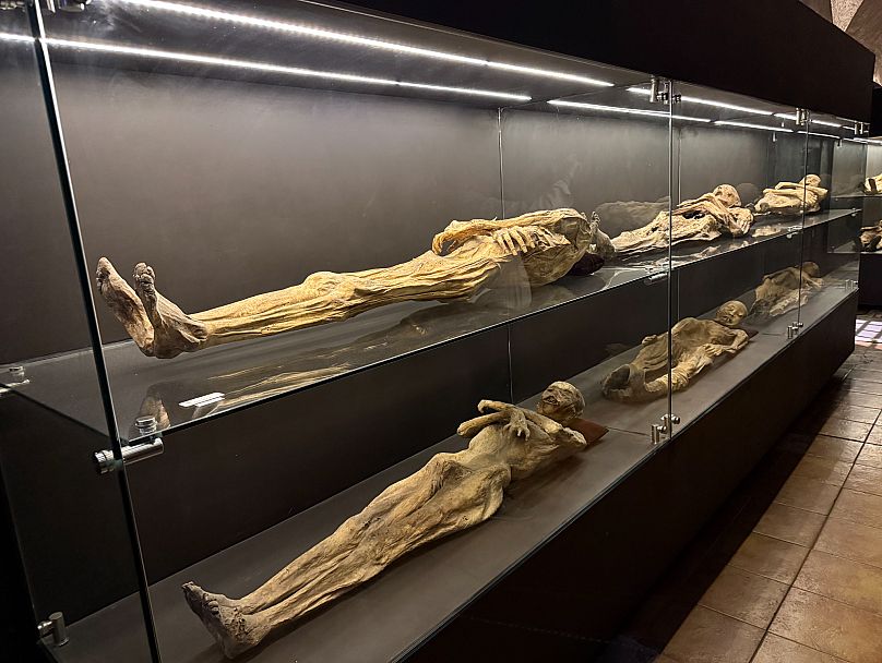Varias momias en un museo mexicano.