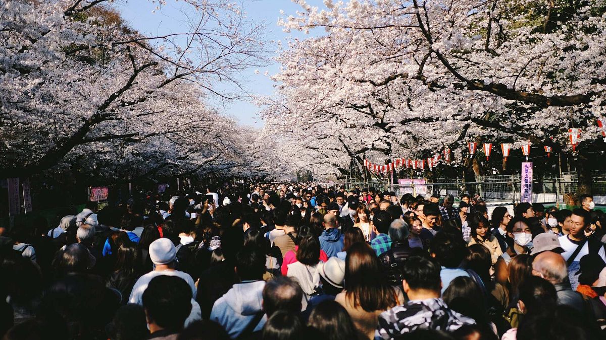 Vous prévoyez un voyage au Japon ? Les frais de visa et les taxes de séjour augmenteront en 2026