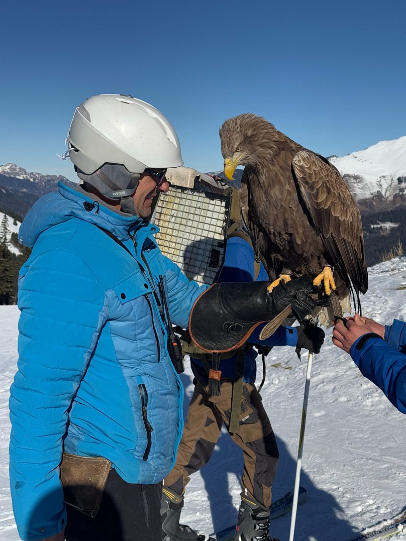 The eagle can be found swooping down the slopes alongside Les Aigles du Léman founder Jacque-Oliver Travers.