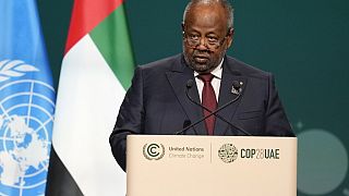 Djibouti : le Parlement lève la limite d'âge pour la présidentielle