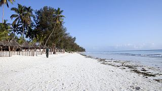 Tanzanie : à Zanzibar, l'Algoculture devient un levier économique pour les femmes