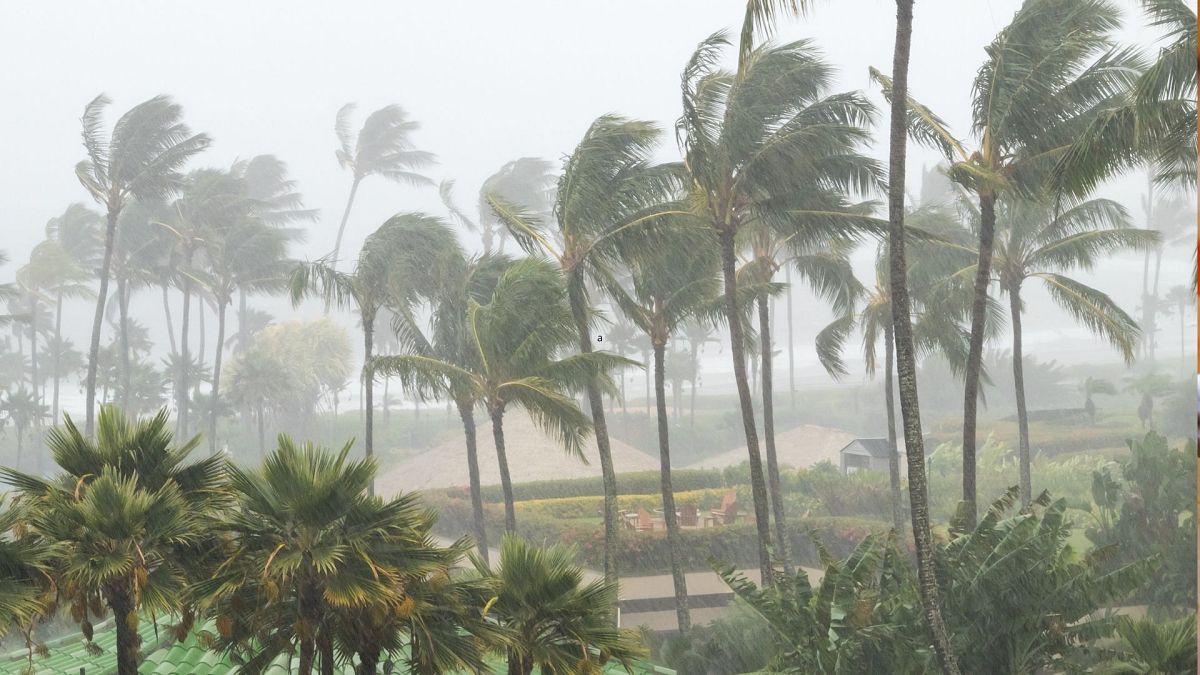 Hundreds of travellers face cancellations and flight delays as Hurricane Melissa hits