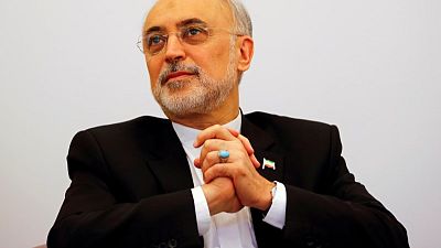 إيران: الاتحاد الأوروبي تعهد بإنقاذ الاتفاق النووي رغم قرار ترامب