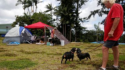 A Noah's Ark of animals rescued from Hawaii lava A Noah's Ark of animals rescued from Hawaii lava