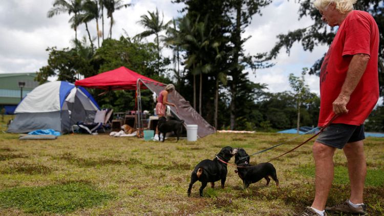 A Noah's Ark of animals rescued from Hawaii lava