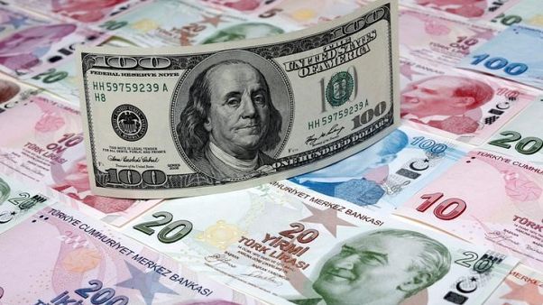 الليرة التركية تهبط لمستوى قياسي أمام الدولار الليرة التركية تهبط لمستوى قياسي أمام الدولار