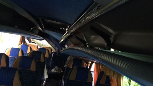 Cade albero su bus: 14 feriti non gravi Cade albero su bus: 14 feriti non gravi