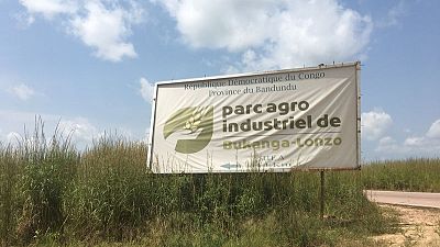 Africa's green revolution stumbles at Congo project to solve food shortages Africa's green revolution stumbles at Congo project to solve food shortages