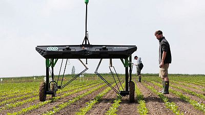 Robots fight weeds in challenge to agrochemical giants Robots fight weeds in challenge to agrochemical giants