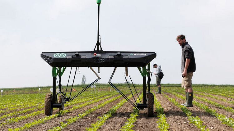 Robots fight weeds in challenge to agrochemical giants