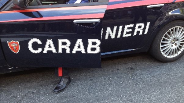 Preso 'maestro' truffe nel Torinese Preso 'maestro' truffe nel Torinese